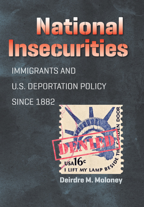 Cover image for book National Insecurities