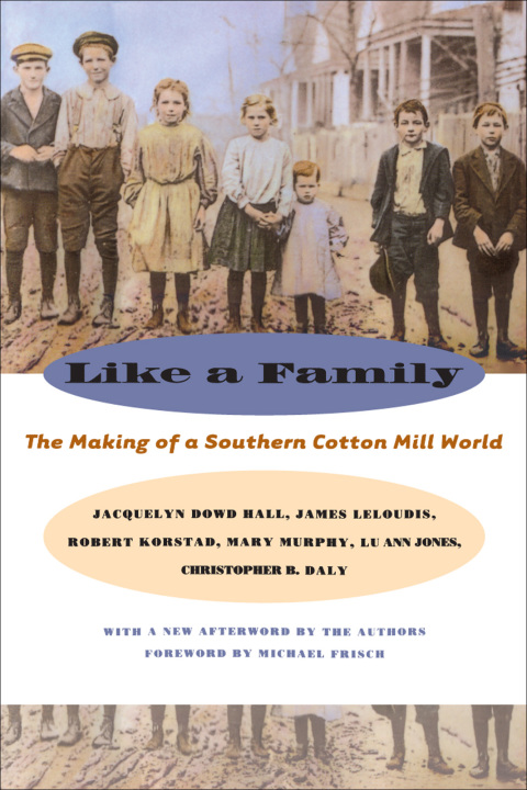 Cover image for book Like a Family
