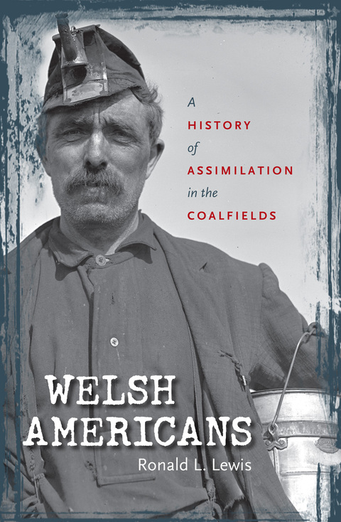 Cover image for book Welsh Americans
