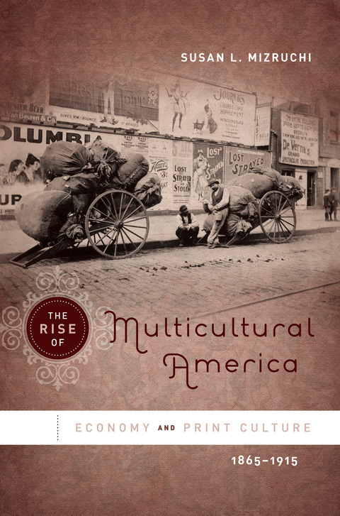 Cover image for book The Rise of Multicultural America