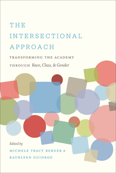 Cover image for book The Intersectional Approach