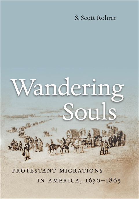 Cover image for book Wandering Souls