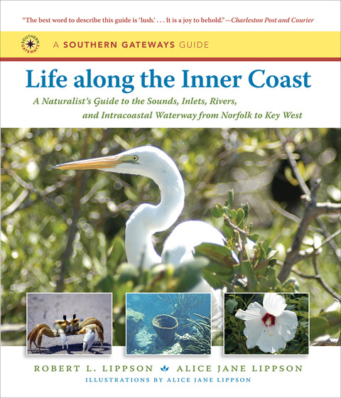 Cover image for book Life along the Inner Coast