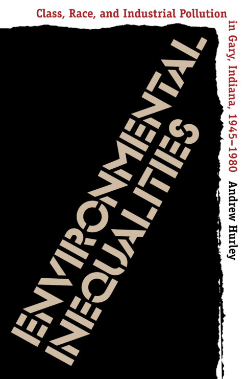 Cover image for book Environmental Inequalities