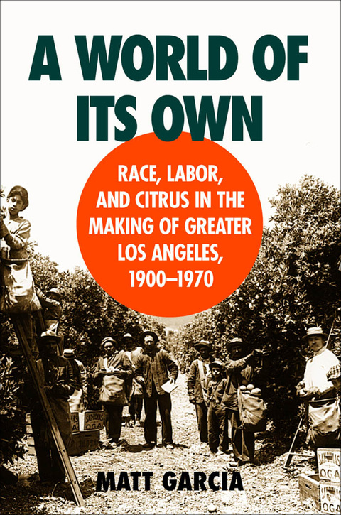 Cover image for book A World of Its Own