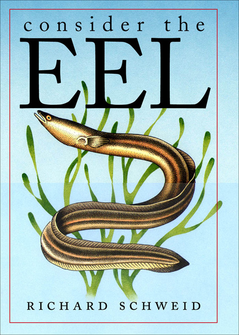 Cover image for book Consider the Eel
