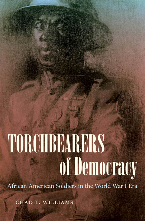 Cover image for book Torchbearers of Democracy