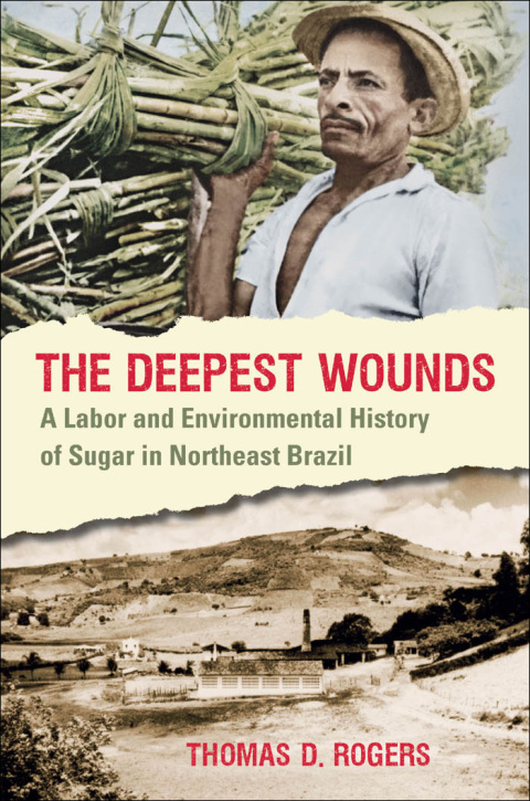 Cover image for book The Deepest Wounds