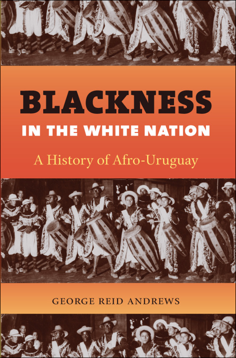 Cover image for book Blackness in the White Nation