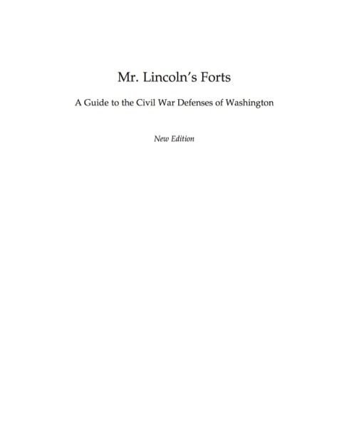 Cover image for book Mr. Lincoln's Forts