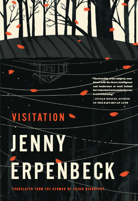 Cover image for book Visitation