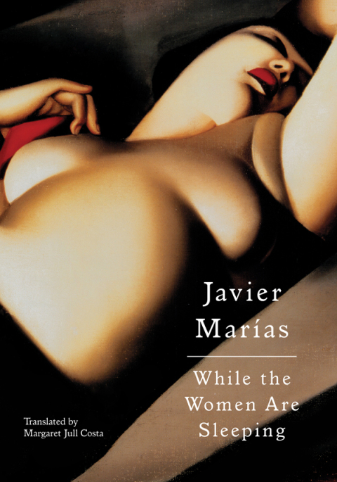 Cover image for book While the Women Are Sleeping