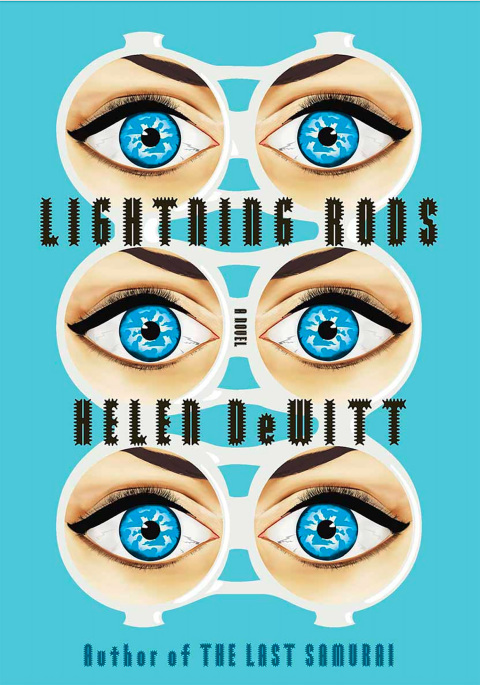 Cover image for book Lightning Rods