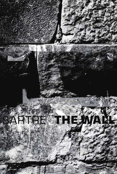 Cover image for book The Wall