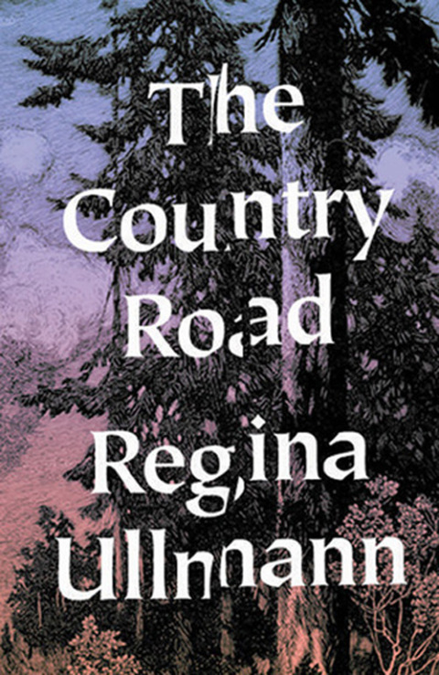 Cover image for book The Country Road