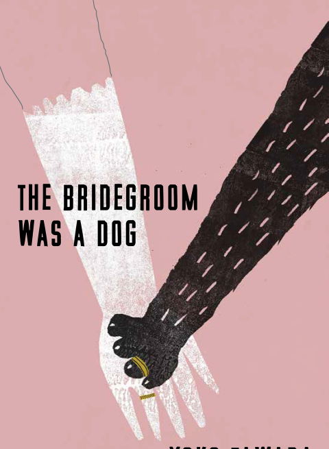 Cover image for book The Bridegroom Was a Dog