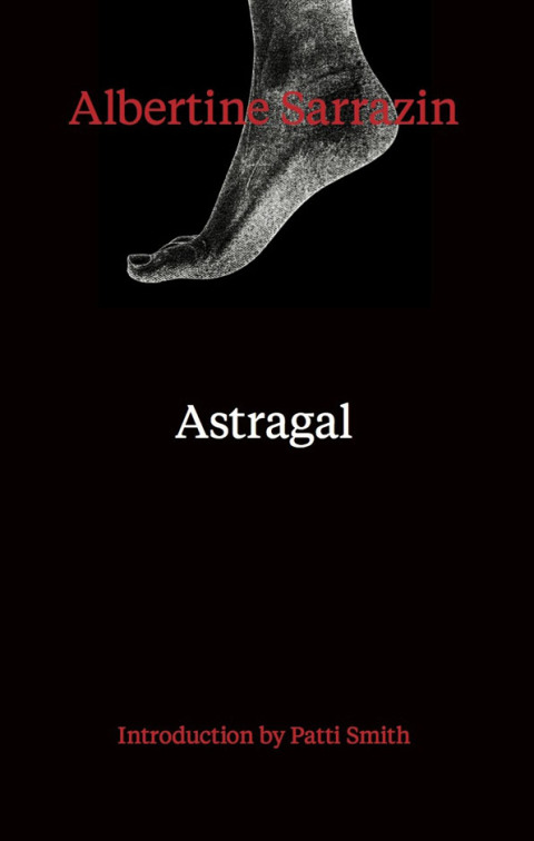 Cover image for book Astragal