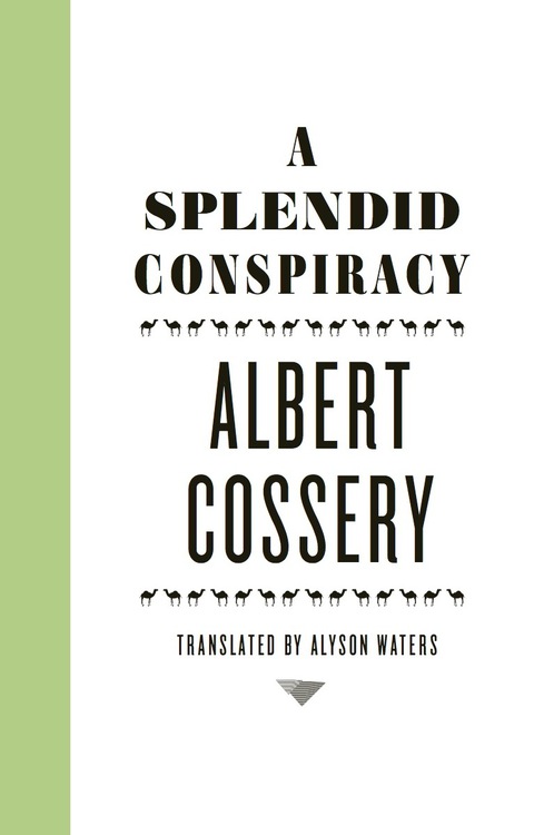 Cover image for book A Splendid Conspiracy