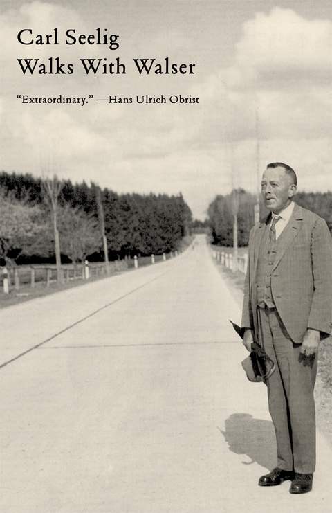 Cover image for book Walks with Walser