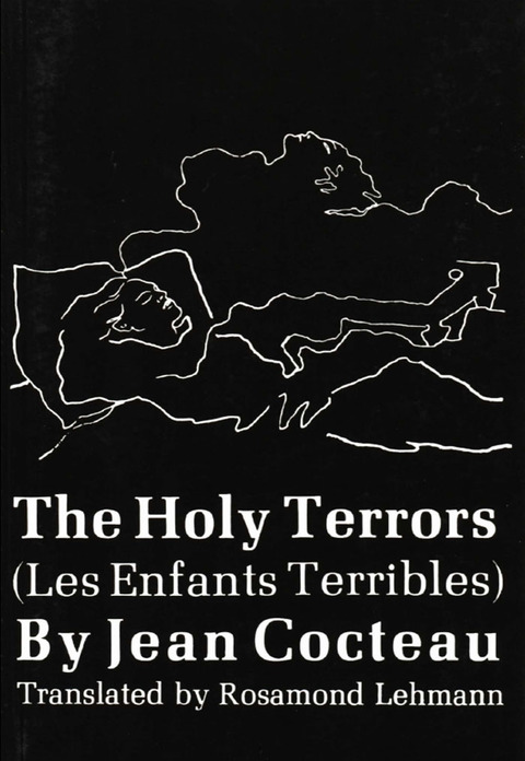 Cover image for book The Holy Terrors