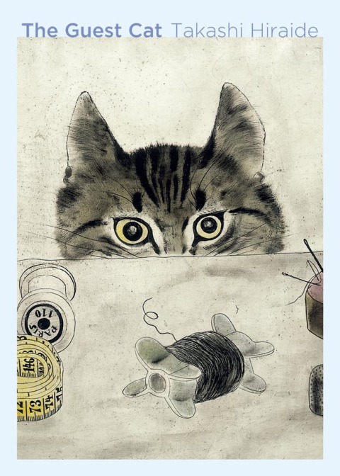 Cover image for book The Guest Cat