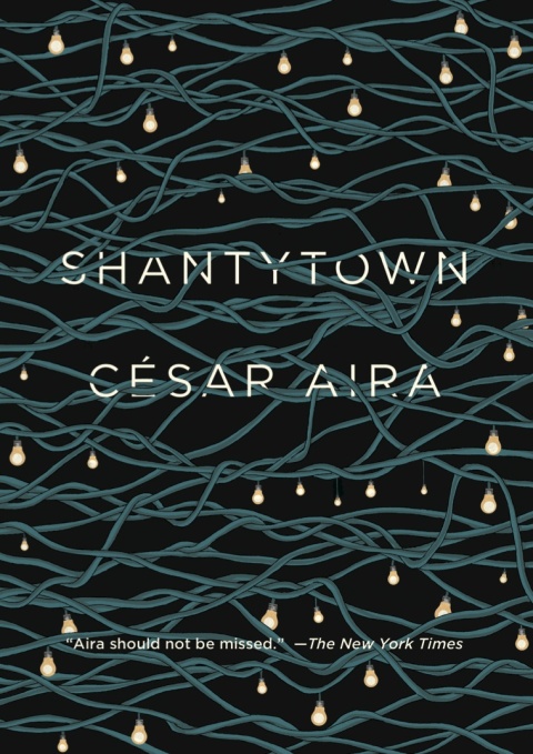 Cover image for book Shantytown