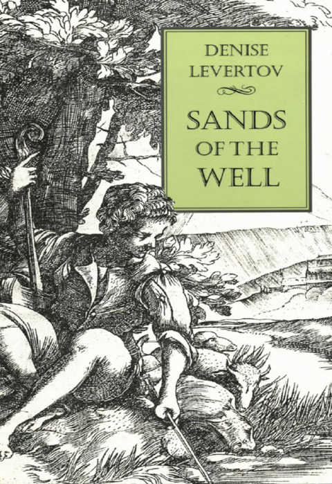 Cover image for book Sands of the Well