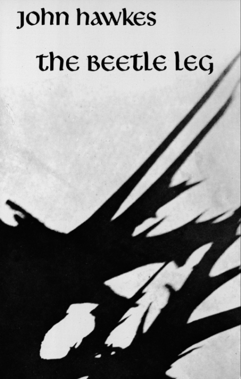 Cover image for book The Beetle Leg