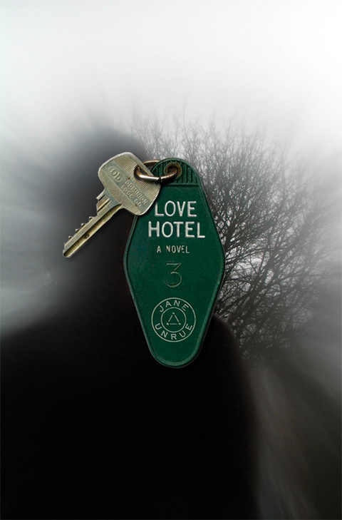 Cover image for book Love Hotel