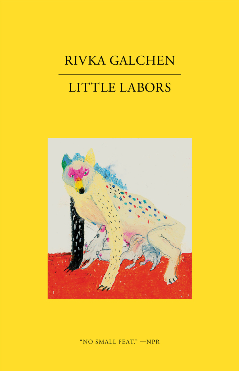 Cover image for book Little Labors
