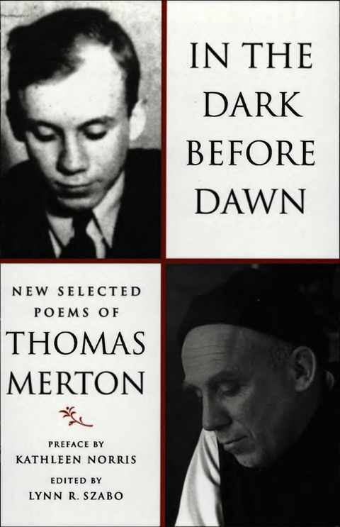 Cover image for book In the Dark Before Dawn