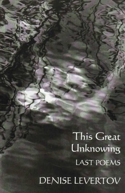 Cover image for book This Great Unknowing