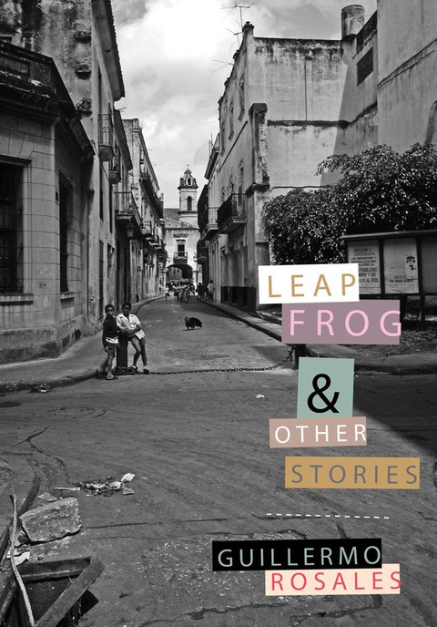 Cover image for book Leapfrog