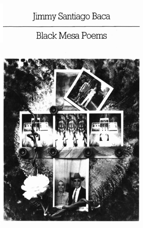 Cover image for book Black Mesa Poems