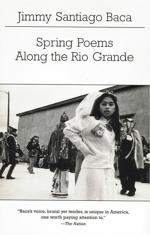 Cover image for book Spring Poems Along the Rio Grande
