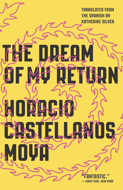 Cover image for book The Dream of My Return