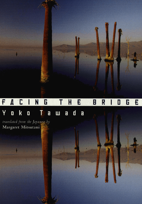 Cover image for book Facing the Bridge
