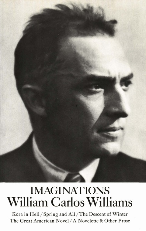 Cover image for book Imaginations
