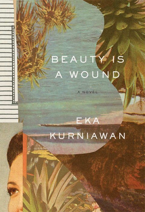 Cover image for book Beauty Is a Wound