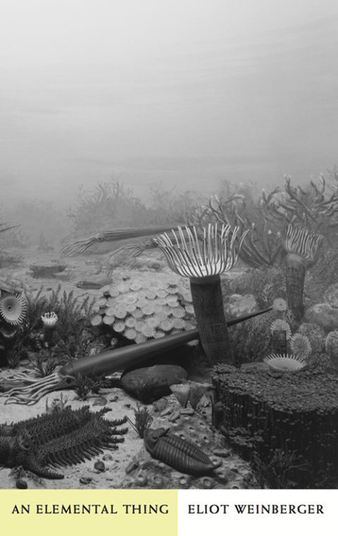 Cover image for book An Elemental Thing