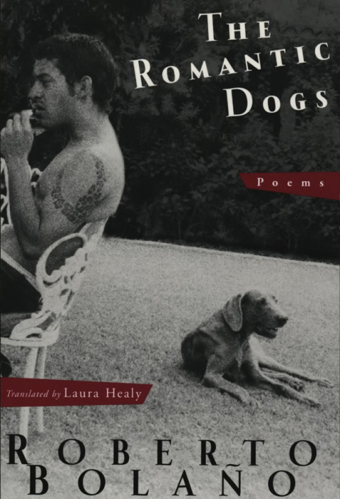 Cover image for book The Romantic Dogs: Poems