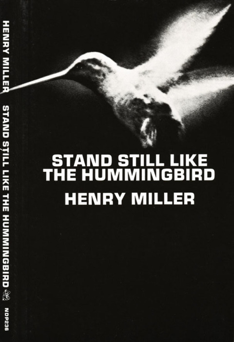 Cover image for book Stand Still Like the Hummingbird