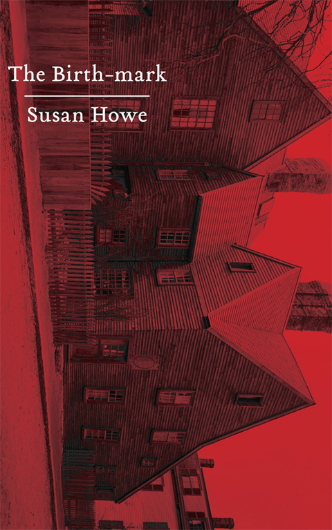 Cover image for book The Birth-mark