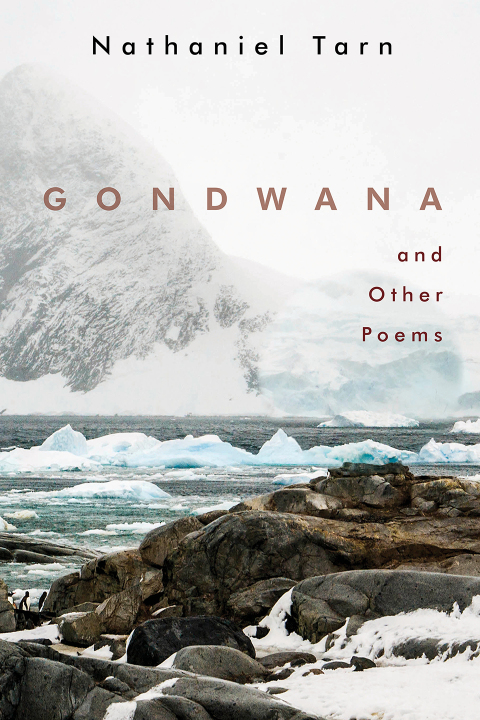 Cover image for book Gondwana