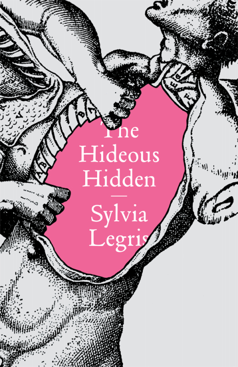 Cover image for book The Hideous Hidden
