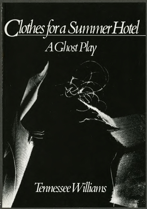 Cover image for book Clothes for a Summer Hotel