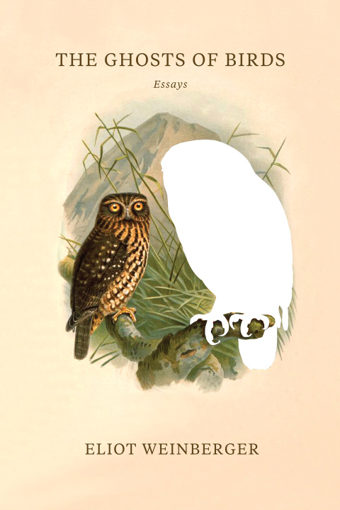 Cover image for book The Ghosts of Birds
