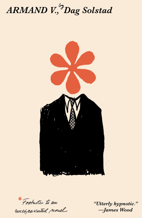 Cover image for book Armand V