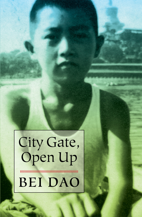 Cover image for book City Gate, Open Up