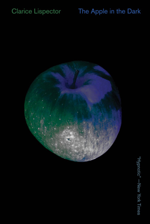 Cover image for book The Apple in the Dark